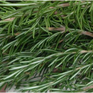 Fresh Organically Grown Rosemary - 6, 6" - 8" Cuttings