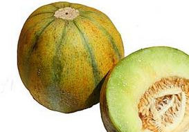 Melon, Ogen Heirloom Melon - Incredibly Smooth, Sweet, Juicy Organic Melon Every Kitchen Garden Should Grow at Least Once