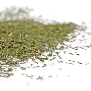Dill, Mammoth Dill Seeds - Exceptional Herb Perfect Pickling or in Fresh Salads