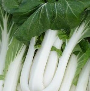 Cabbage, Organic Pac Choy / Bok Choy Seeds - Chinese Heirloom