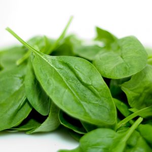 Spinach, Baby Smooth Leaf Spinach Seeds - Highly Nutritious Excellent for Quick Harvests