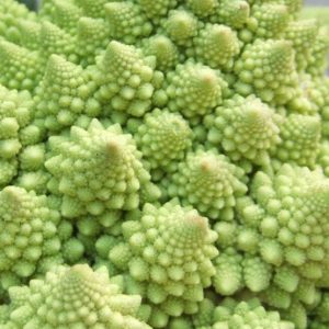 Cauliflower, Organic Romanesco Cauliflower Seeds - Gorgeous Lime-Green Cauliflower Unbeatable Flavor