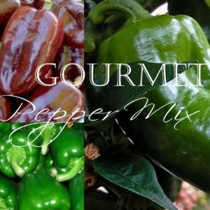 Pepper, Gourmet Pepper Seed Mix - Sweet Chocolate Pepper Seeds & Aramis Green Pepper Seeds