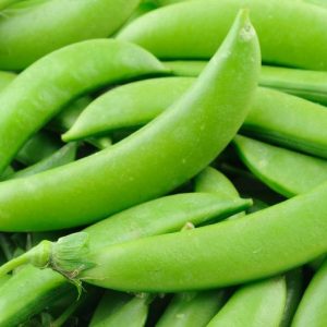 Pea, Taiwanese Edible Podded Sugar Pea Seeds - Rare Edible Pod