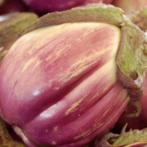 Eggplant, Rosa Bianca Eggplant Seeds - Flavorful, Tender, Italian Eggplant - Almost to Pretty to Eat - Excellent Eggplant Parmesan