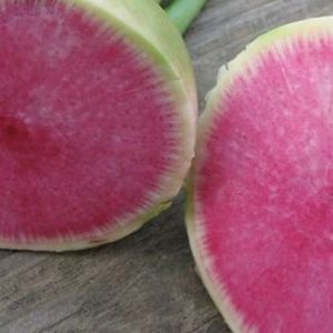 Radish, Organic Watermelon Radish Seeds - Lovely Chinese Heirloom Radish Red Meat Radish