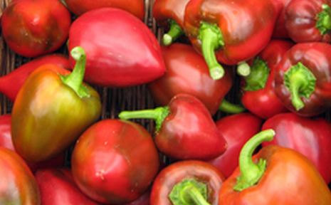 Pepper, Apple Pimento Sweet Pepper Seeds - Excellent Sweet and Fruity Pepper Make Your Own Spice