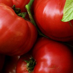 Tomato, Brandywine Tomato Seeds