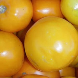 Tomato, Golden Jubilee Tomato Seeds - Beautiful Low Acid Fruit