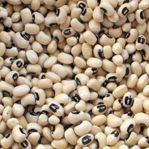 Pea, California Black Eyed Peas - Versatile Heirloom High in Protein Low Fat Extremely Easy to Grow