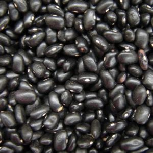 Beans, Black Valentine Bean Seeds - Fast Growing Heirloom Bean Great Fresh or Shelled