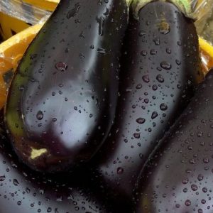 Eggplant, Florida High Bush Eggplant Seeds - Popular Variety from 1940s