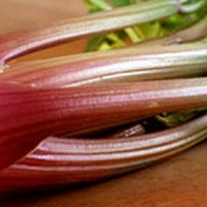 Celery, Organic  Redventure Celery Seeds - Beautiful Red Celery Tasty Flavor