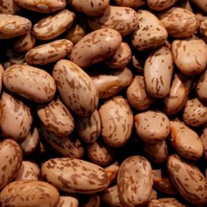 Beans, Organic Agate Pinto Beans - Delicious Duo Purpose Bush Beans Easy to Grow Bush and Dry Beans