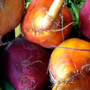 Beets, Organic Three Root Grex Beet Seeds - Beautiful Natural Assortment of Highly Flavorful Beets