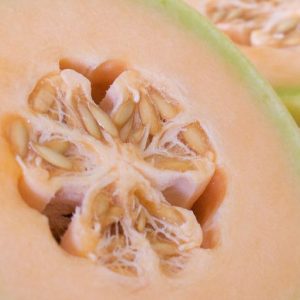 Melon, Yellow Honey  Melon Seeds - Beautiful Gourmet Melon
