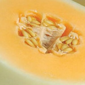 Melon, Orange Honey Honeydew  Melon Seeds - Premier Specialty Gourmet Melon
