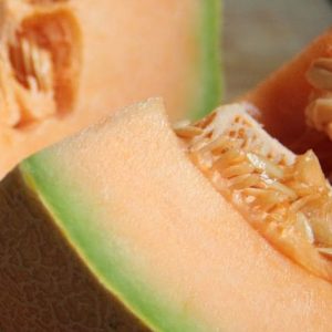Melon, Athena Muskmelon Seeds