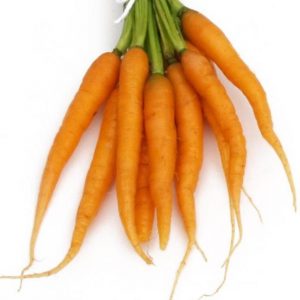 Carrot, Minicor Carrot Seeds - Baby Carrots Perfect for Cottage Gardens & Containers