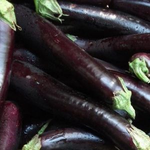 Eggplant, Long Purple Eggplant Seeds