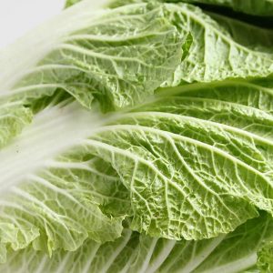 Cabbage, Napa Chinese Cabbage Seeds | Excellent in Cold Climates - Delicious Cabbage
