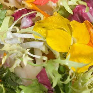 Lettuce, Lindsay's Organic Edible Flower Salad Seeds | Exclusive Blend of Heirloom Lettuce and Flowers