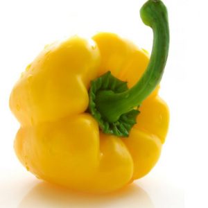 Pepper, Canary Bell Pepper Seeds | Crispy Sweet Golden Yellow Pepper Peppers