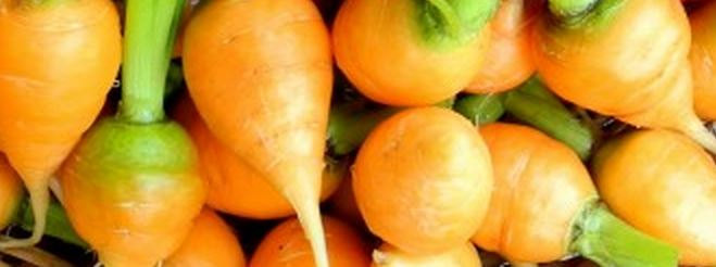 Carrot, Paris Market Carrot Seeds | Perfect  French Heirloom Carrot with Exquisite Flavor | Extremely Easy to Grow