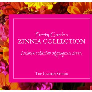 Zinnia,  Pretty Garden Zinnia Seed Collection | Gorgeous and Vibrant Zinnias for a Fantastic Cutting Garden - 10 packets!
