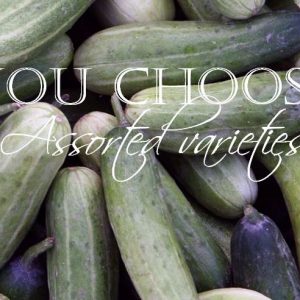 Cucumber, Cucumber Assortment  - Your Choice! cucumis sativus