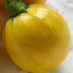 Squash, Organic Lemon Squash Seeds | Easy to Grow Heirloom