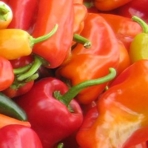 Pepper, Exclusive Organic Hot Pepper Melange Seeds | Incredible Mixture of Diverse and Unique Hot Peppers