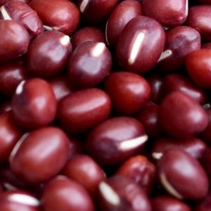 Beans, Organic Adzuki Bean Seeds | Fabulous Flavor Japanese Heirloom Bean!
