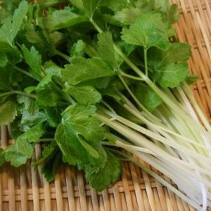 Celery, Chinese White Celery Seeds | Asian Heirloom Celery with Rich Flavor