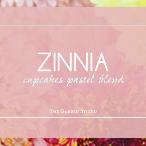 Zinnia,  Cupcakes Zinnia Pastel Blend Seeds | Rare Cutflower Beauty and Must for Every Gardener who Love Zinnias!