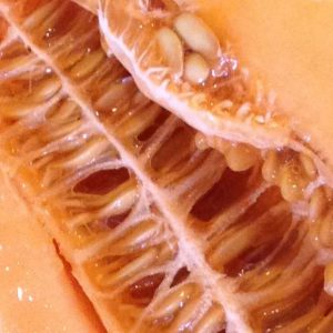 Melon, Banana Melon Seeds | Delicious Heirloom an Absolute Must for the Home Gardener for its Distinctive Flavor