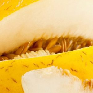 Melon, Jaune de Canary Melon Seeds | French Heirloom Adored for its Exquisite Flavor