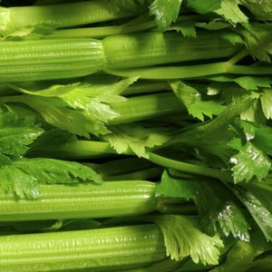 Celery, Tango Celery Seeds + | Assortment Choose Your Variety for the Home Garden apium gravgraveolens